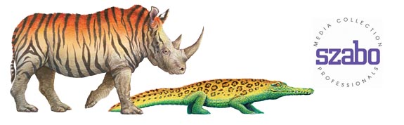 Alligator-Rhino-Logo